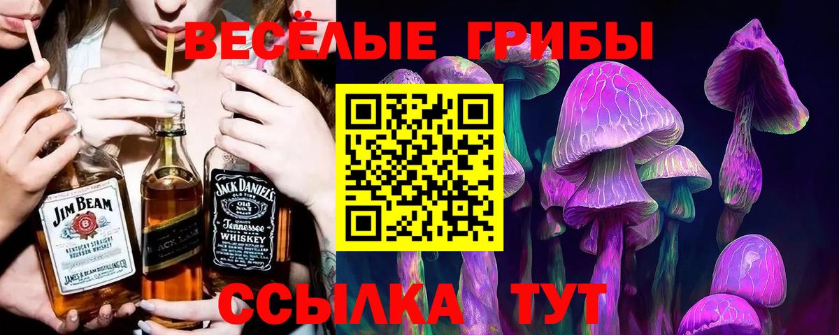 Азнакаево  Галлюциногенные грибы Magic Shrooms  цена   Вход с VPN  Псилоцибиновые грибы Cubensis 